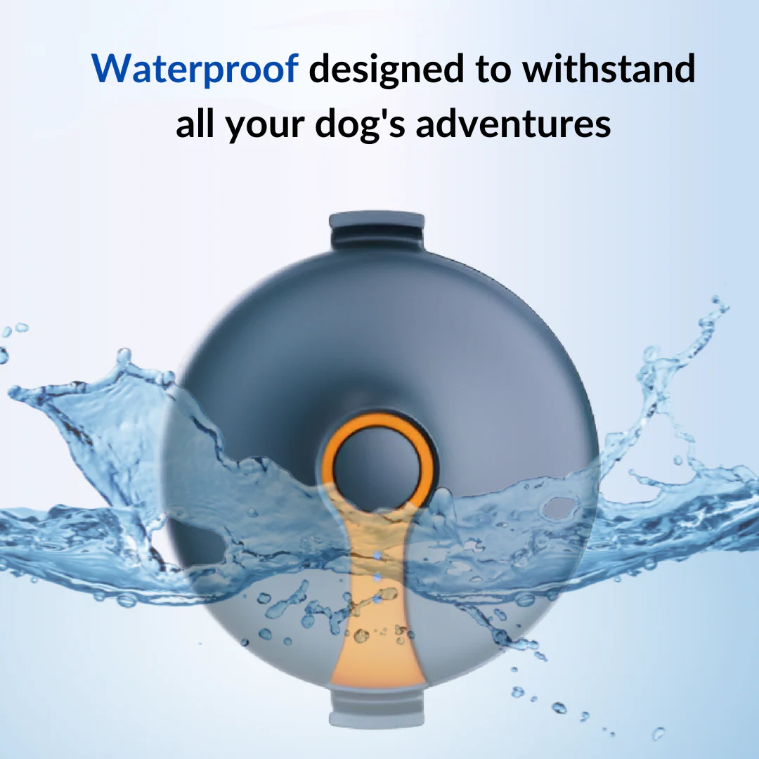 DoggoFind GPS - Image 3