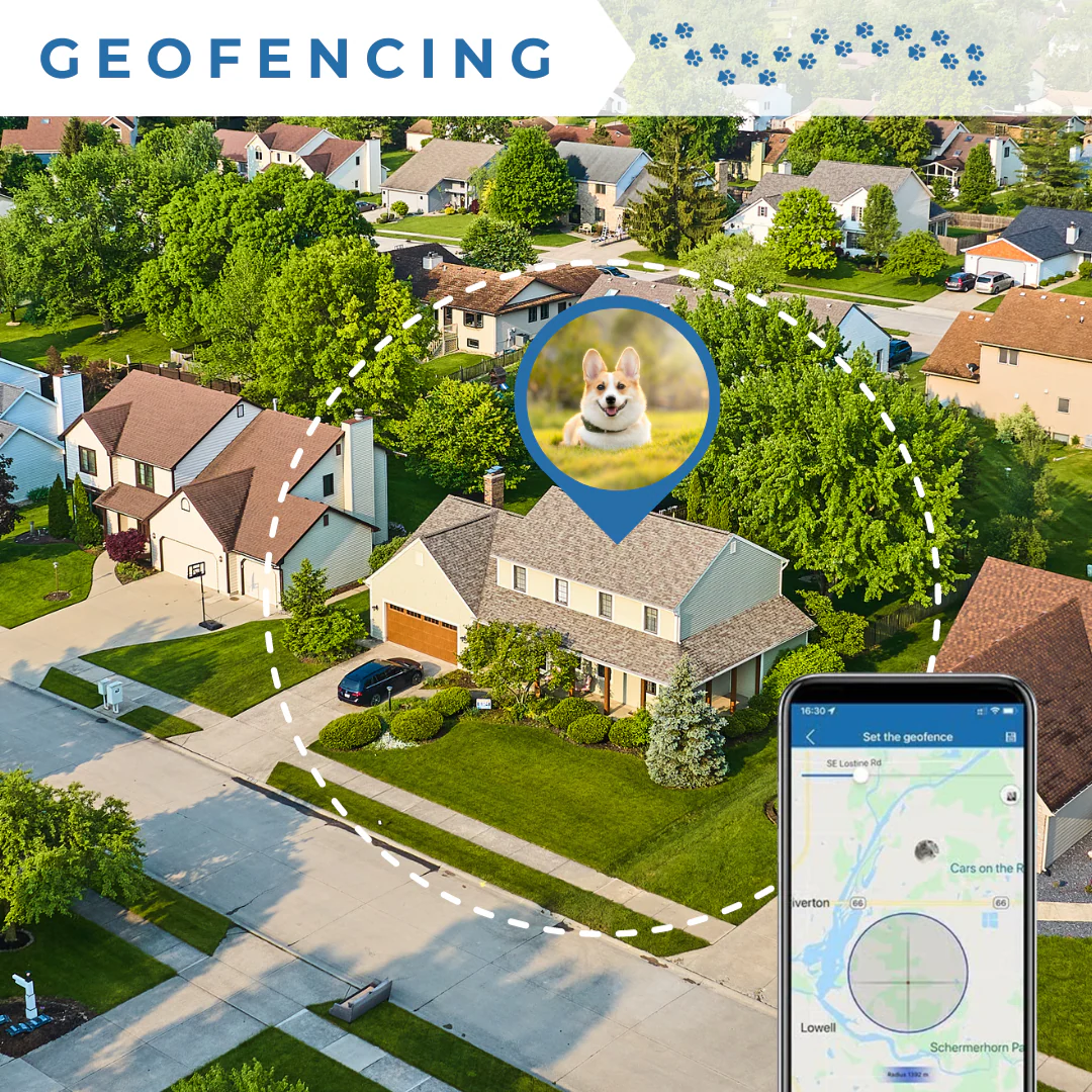 DoggoFind GPS - Image 5