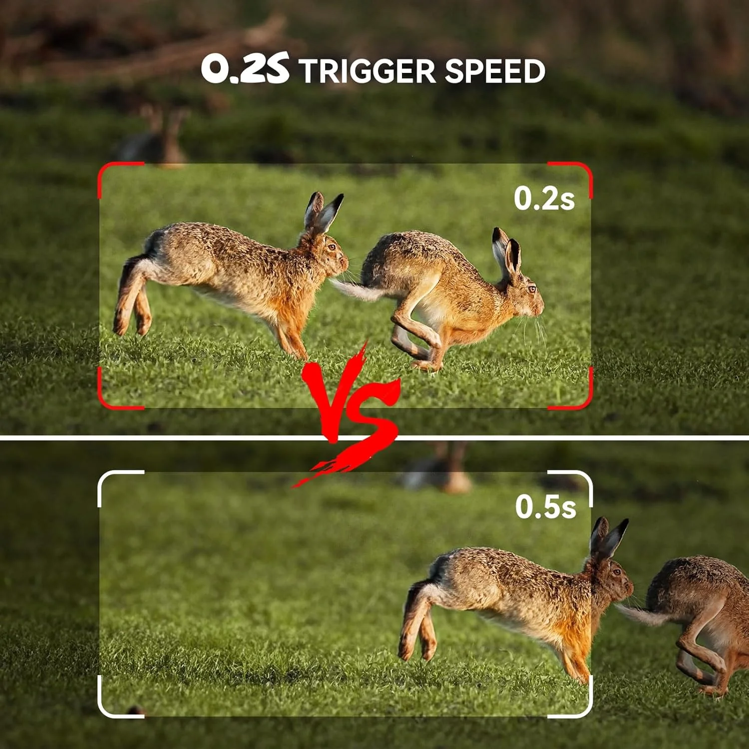 Osmo WildPro - Image 2